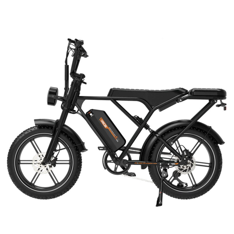 RCB G19 Elektrofahrrad – Bild 4