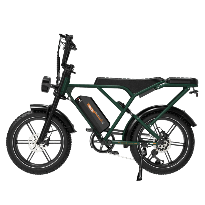 RCB G19 Elektrofahrrad – Bild 6