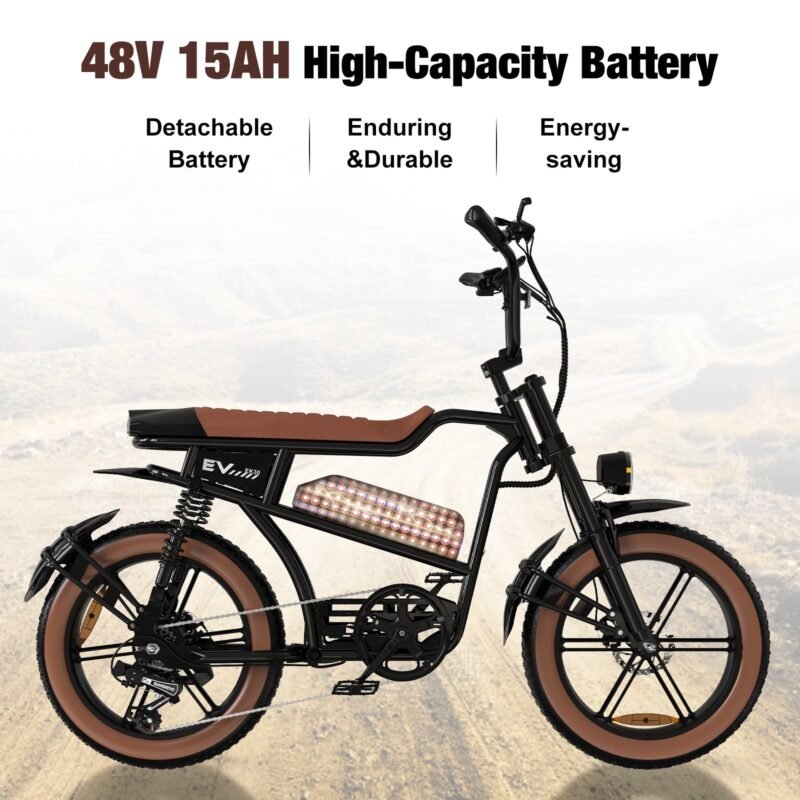 EK30 E-bike EVERCROSS – Bild 4