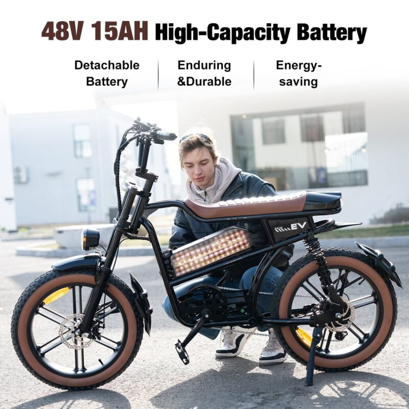 EK30 E-bike EVERCROSS – Bild 5