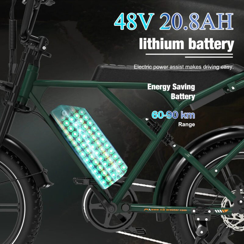 RCB G19 Elektrofahrrad – Bild 3