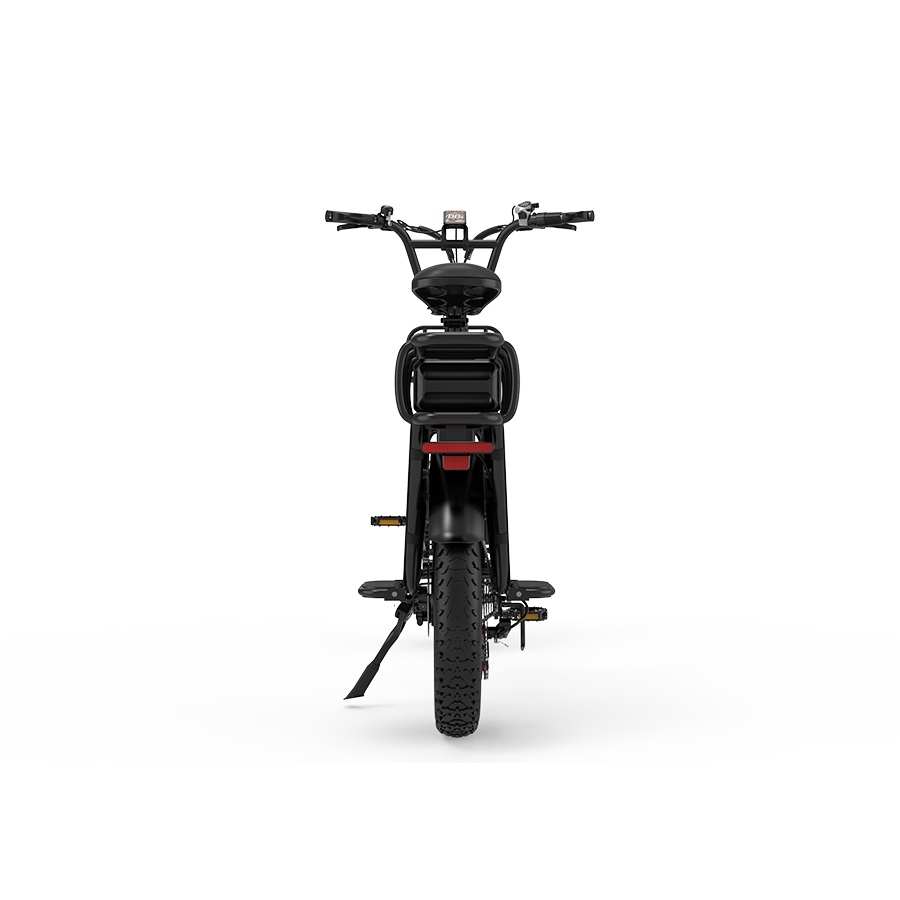 KOOLUX X8 Cargo E-Bike 750W 48V 65Ah – Elektrisches Lastenfahrrad mit hydraulischen Bremsen - Image 10