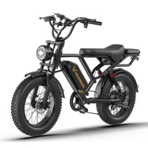 HEADEER BK20 Elektrofahrrad 750W 48V 20Ah – 20×4.0 Zoll Fatbike für Stadt & Offroad