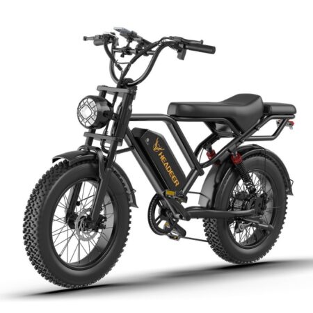 HEADEER BK20 Elektrofahrrad 750W 48V 20Ah – 20×4.0 Zoll Fatbike für Stadt & Offroad